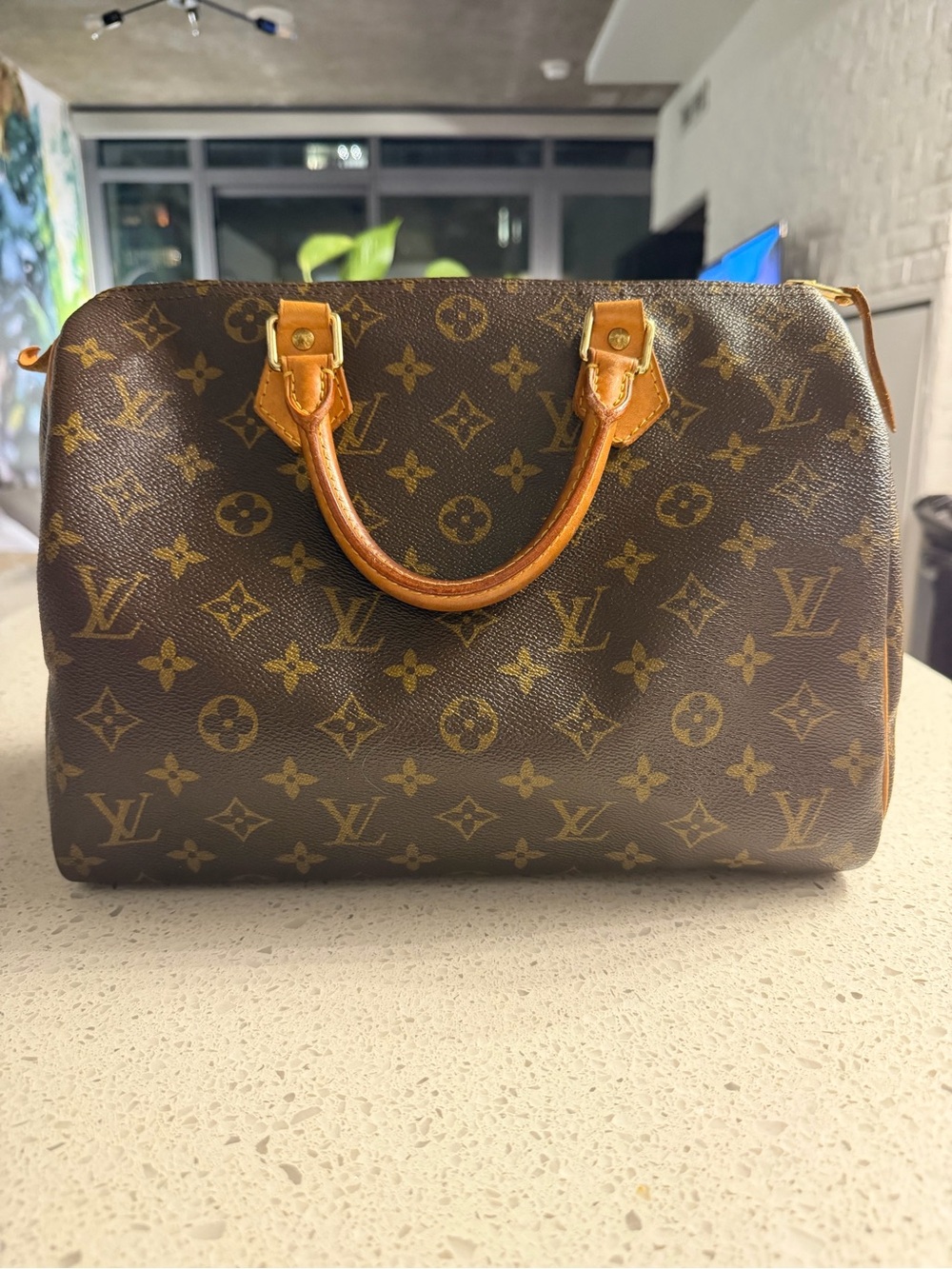 Louis Vuitton Speedy 30 Monogram — Excellent Condition